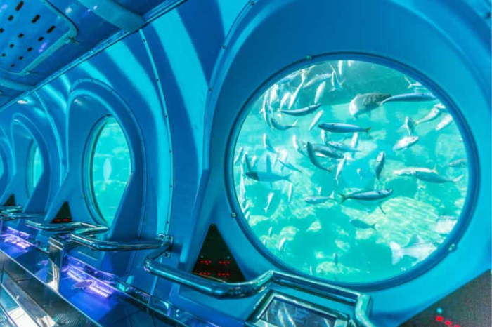 Submarine Tour in Hurghada