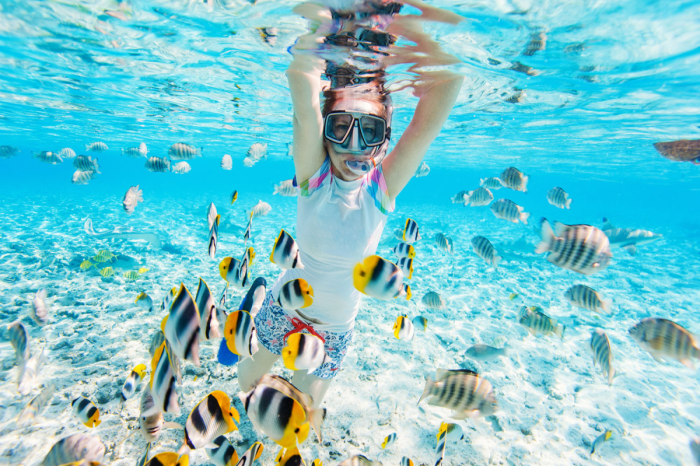 Snorkeling Trip to Giftun Island in Hurghada